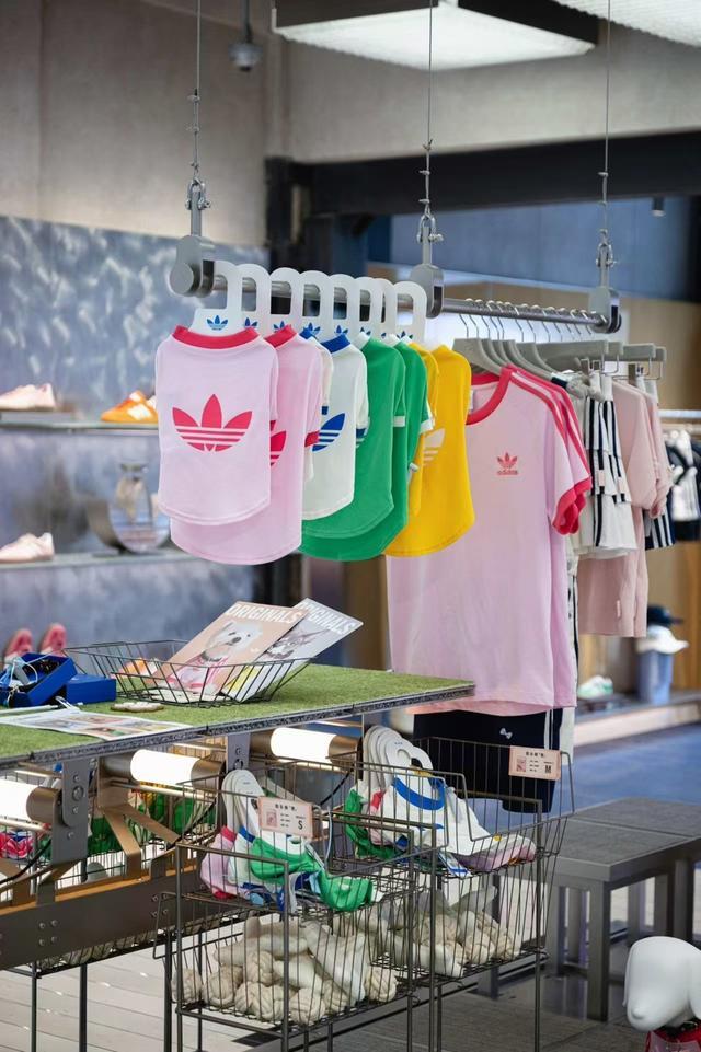 首店层出不穷上海“它经济”进入爆发期开元