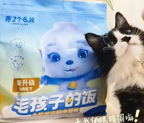 粮！三只松鼠靠什么重返宠物食品赛道开元棋牌网站零食巨头盯上毛孩子口